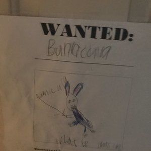 bunnicla wanted poster
